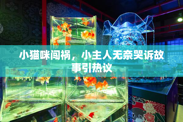 小猫咪闯祸，小主人无奈哭诉故事引热议