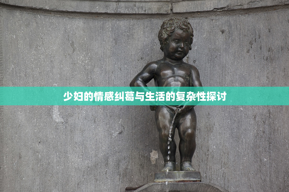 少妇的情感纠葛与生活的复杂性探讨