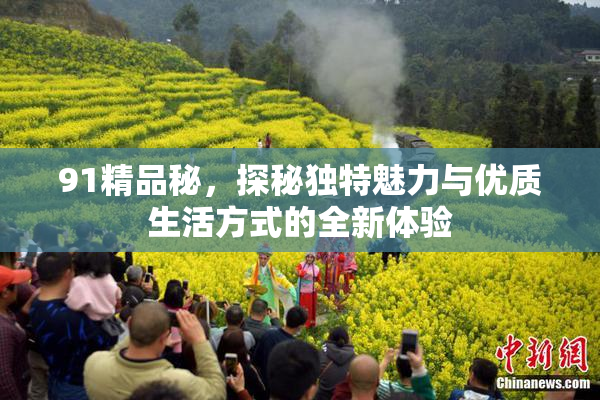 91精品秘，探秘独特魅力与优质生活方式的全新体验