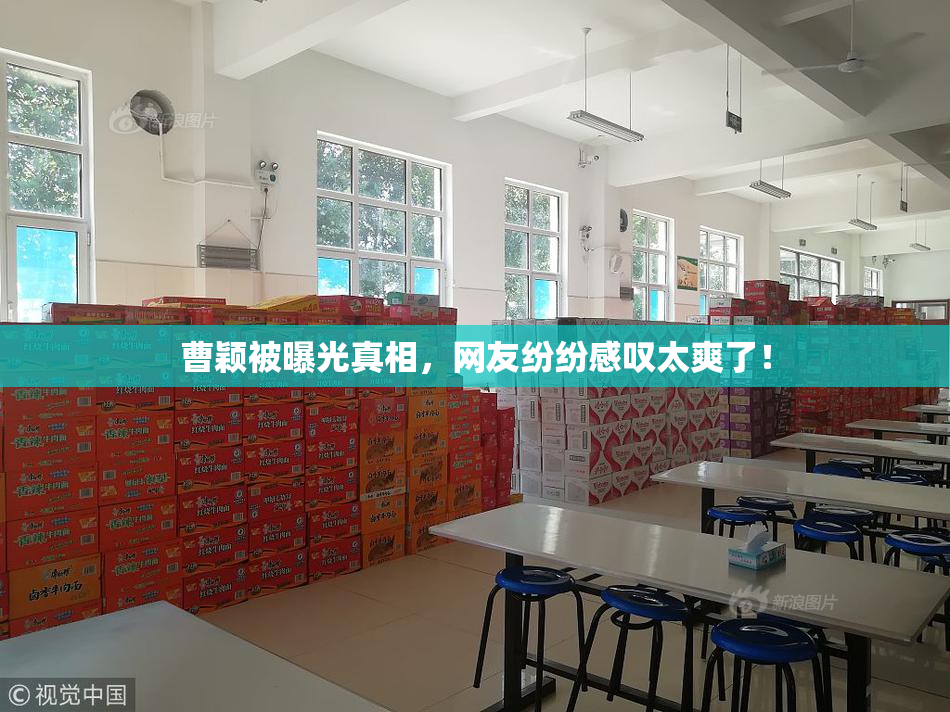 曹颖被曝光真相，网友纷纷感叹太爽了！