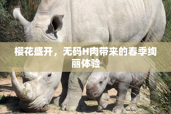 樱花盛开，无码H肉带来的春季绚丽体验