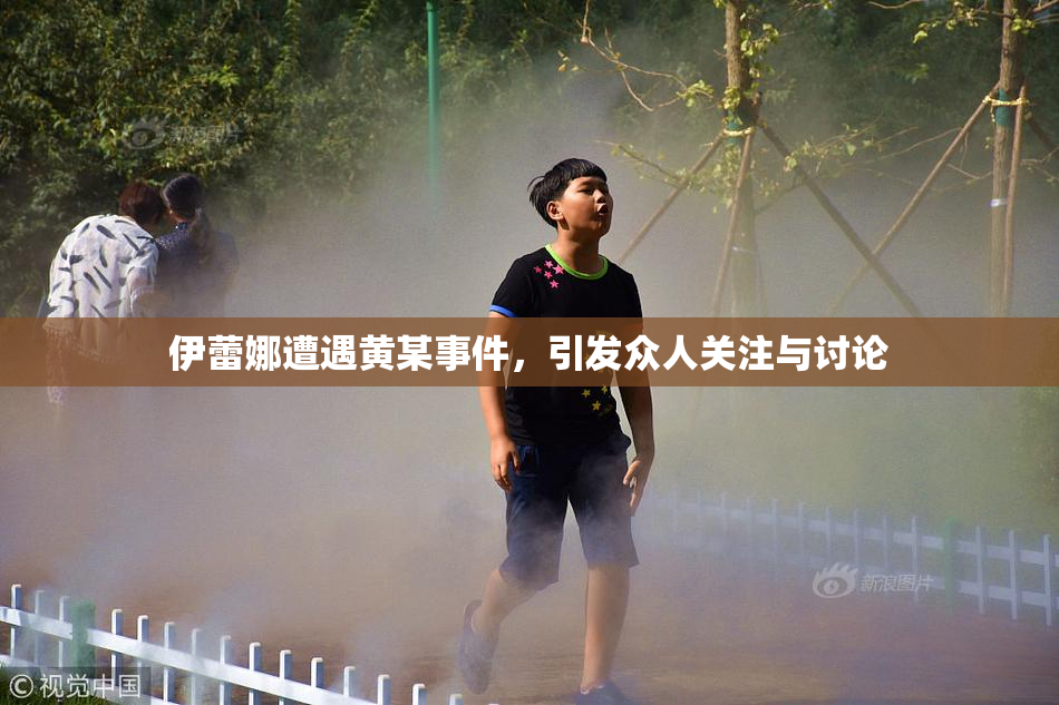 伊蕾娜遭遇黄某事件，引发众人关注与讨论