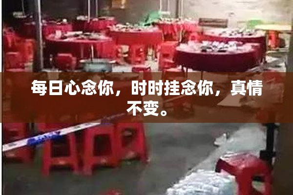 每日心念你，时时挂念你，真情不变。