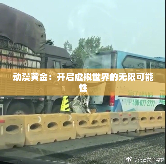 动漫黄金：开启虚拟世界的无限可能性