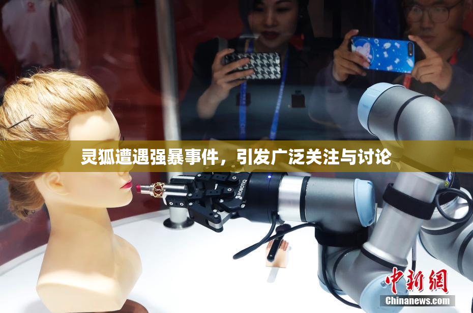 灵狐遭遇强暴事件，引发广泛关注与讨论