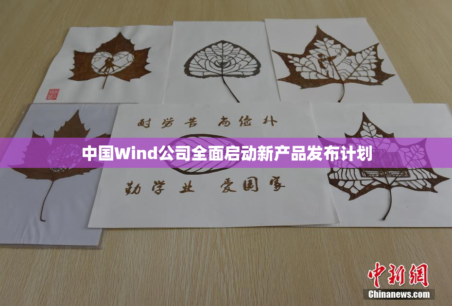 中国Wind公司全面启动新产品发布计划