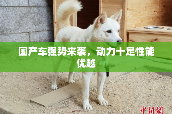 国产车强势来袭，动力十足性能优越