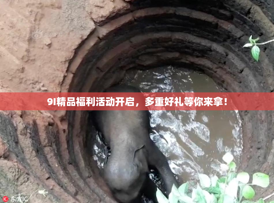 9I精品福利活动开启，多重好礼等你来拿！