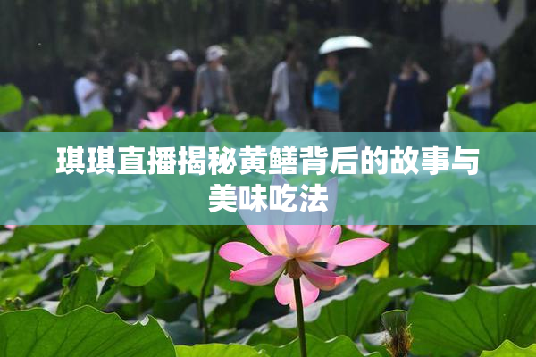 琪琪直播揭秘黄鳝背后的故事与美味吃法
