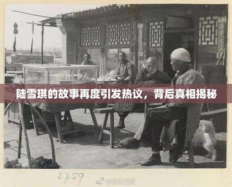 陆雪琪的故事再度引发热议，背后真相揭秘