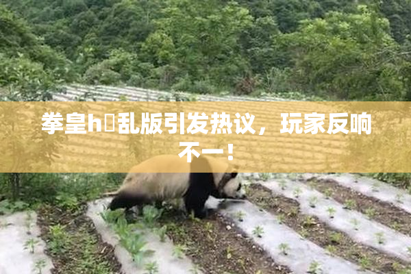 拳皇h婬乱版引发热议，玩家反响不一！