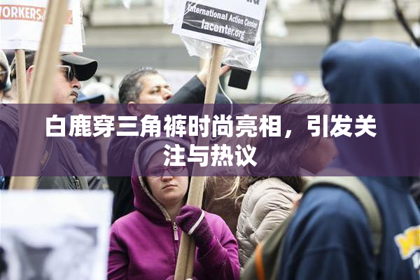 白鹿穿三角裤时尚亮相，引发关注与热议