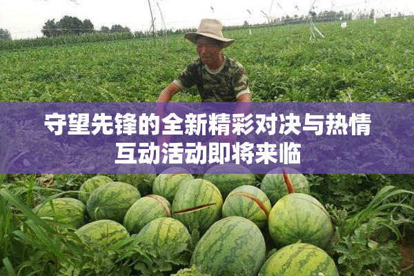 守望先锋的全新精彩对决与热情互动活动即将来临