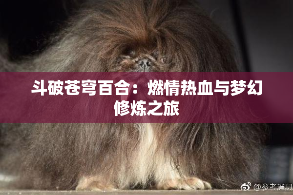 斗破苍穹百合：燃情热血与梦幻修炼之旅