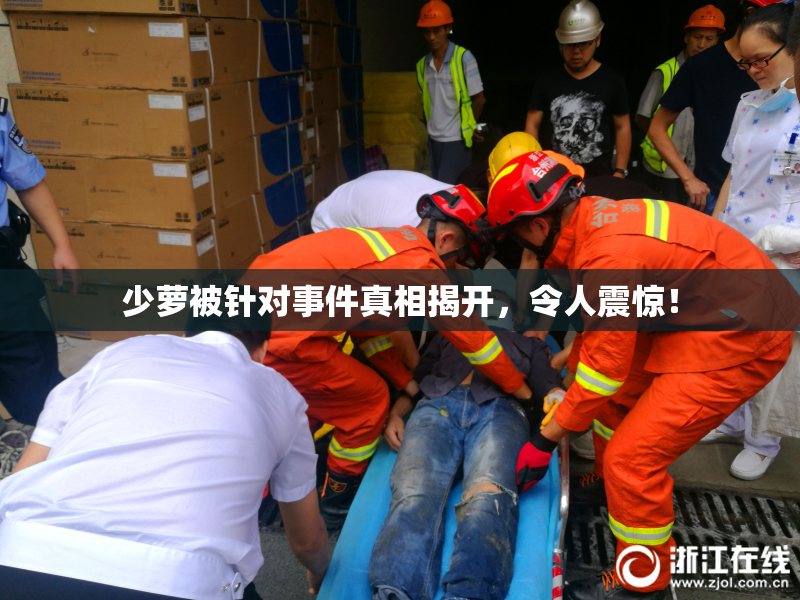 少萝被针对事件真相揭开，令人震惊！
