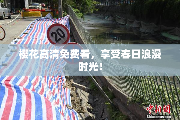 樱花高清免费看，享受春日浪漫时光！