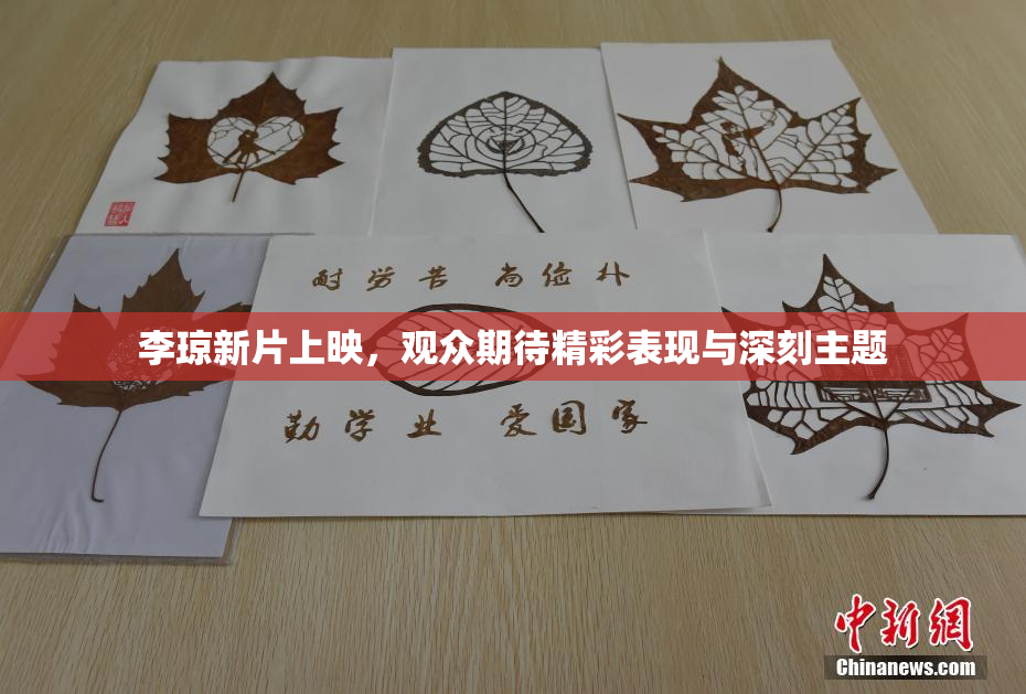 李琼新片上映，观众期待精彩表现与深刻主题