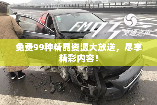 免费99种精品资源大放送，尽享精彩内容！