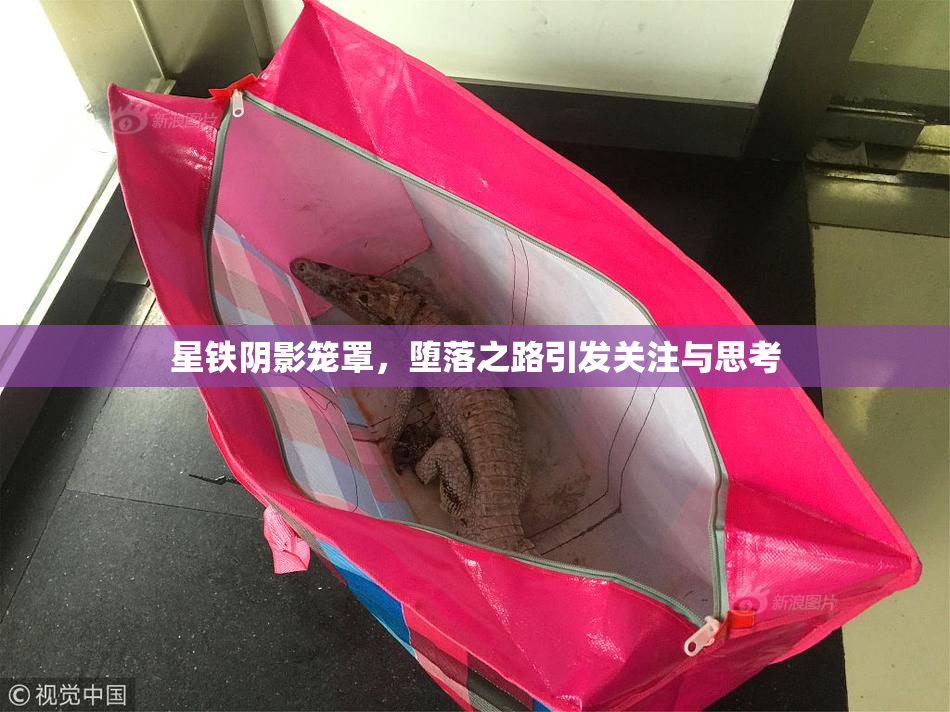 星铁阴影笼罩，堕落之路引发关注与思考
