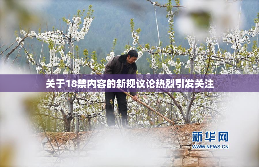 关于18禁内容的新规议论热烈引发关注