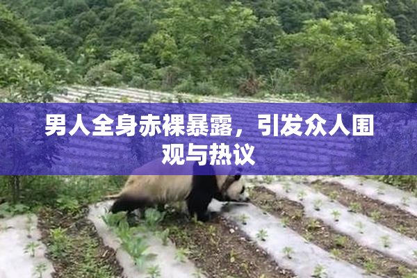 男人全身赤裸暴露，引发众人围观与热议