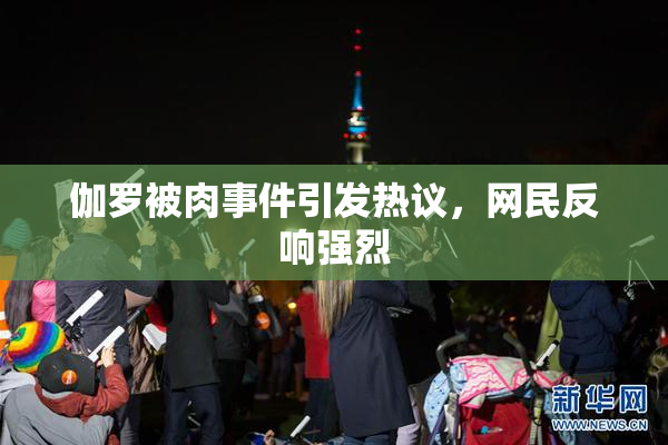 伽罗被肉事件引发热议，网民反响强烈