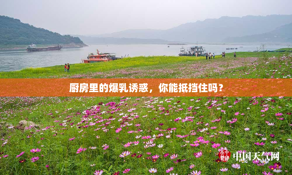 厨房里的爆乳诱惑，你能抵挡住吗？