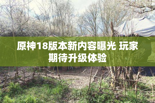 原神18版本新内容曝光 玩家期待升级体验