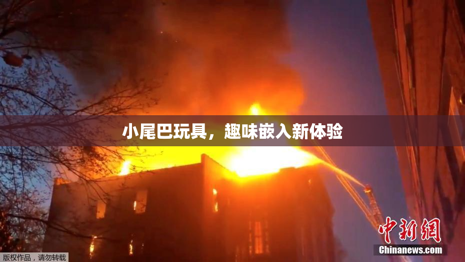 小尾巴玩具，趣味嵌入新体验