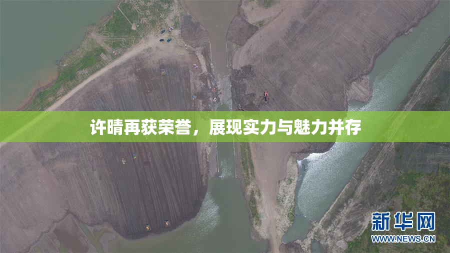 许晴再获荣誉，展现实力与魅力并存