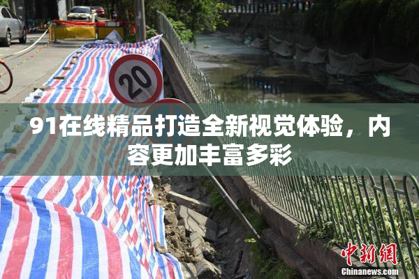 91在线精品打造全新视觉体验，内容更加丰富多彩