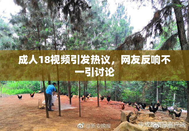 成人18视频引发热议，网友反响不一引讨论