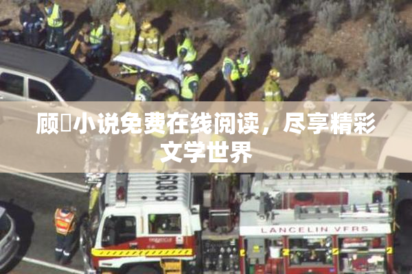 顾嫚小说免费在线阅读，尽享精彩文学世界