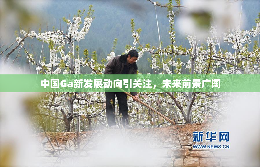 中国Ga新发展动向引关注，未来前景广阔