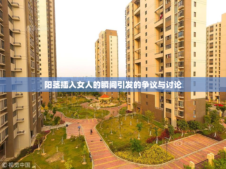 阳茎插入女人的瞬间引发的争议与讨论