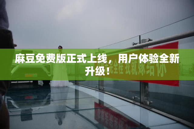 麻豆免费版正式上线，用户体验全新升级！