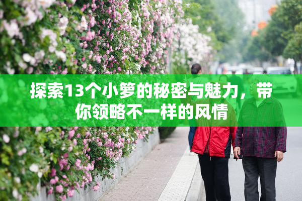 探索13个小箩的秘密与魅力，带你领略不一样的风情