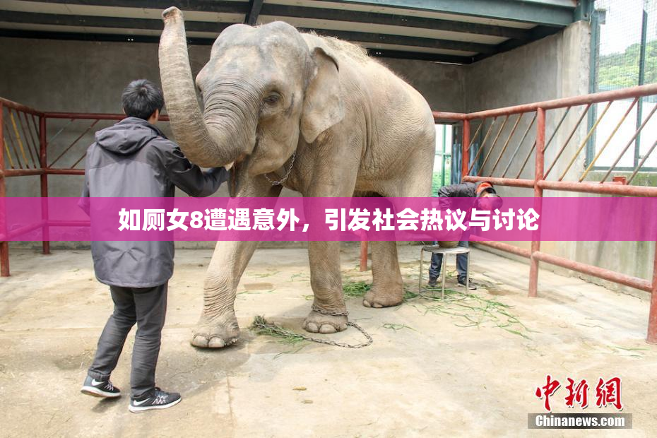 如厕女8遭遇意外，引发社会热议与讨论
