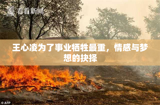 王心凌为了事业牺牲最重，情感与梦想的抉择