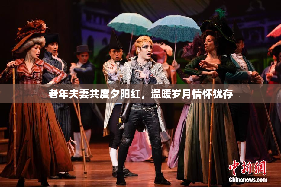 老年夫妻共度夕阳红，温暖岁月情怀犹存