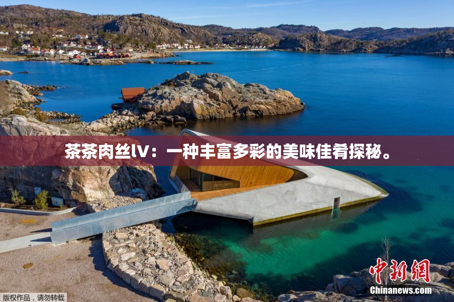 茶茶肉丝lV：一种丰富多彩的美味佳肴探秘。