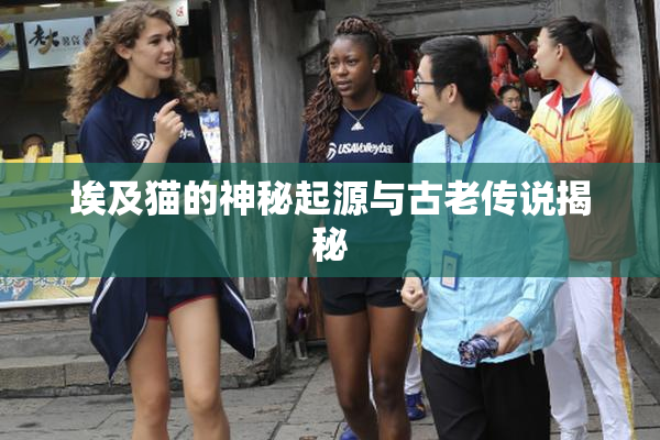 埃及猫的神秘起源与古老传说揭秘