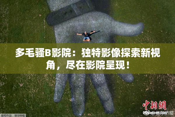 多毛骚B影院：独特影像探索新视角，尽在影院呈现！