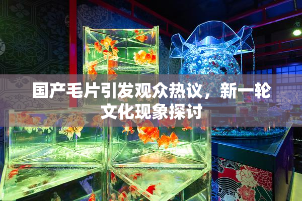 国产毛片引发观众热议，新一轮文化现象探讨