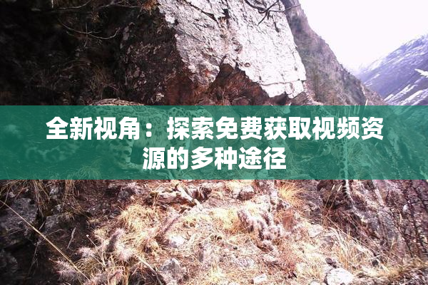 全新视角：探索免费获取视频资源的多种途径