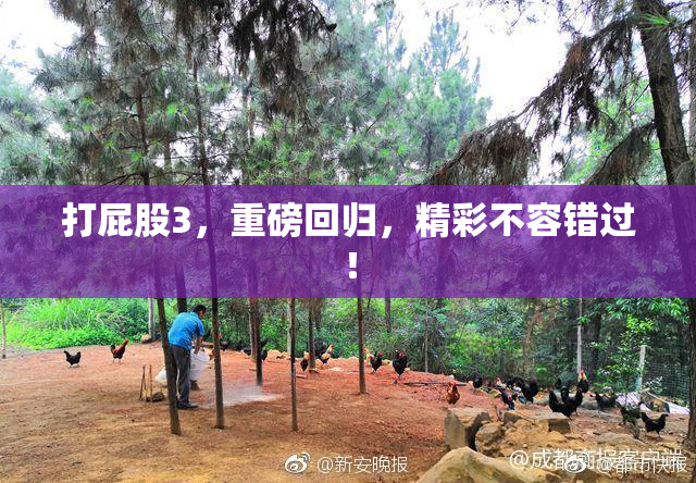 打屁股3，重磅回归，精彩不容错过！