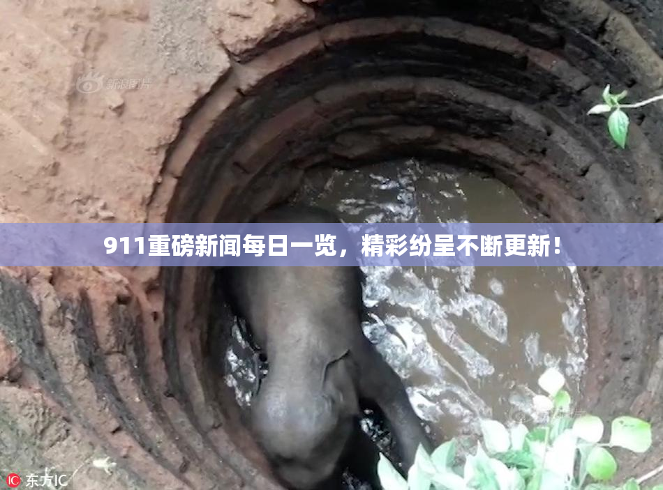 911重磅新闻每日一览，精彩纷呈不断更新！