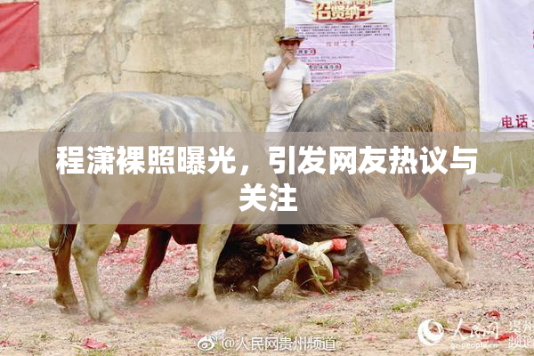 程潇裸照曝光，引发网友热议与关注