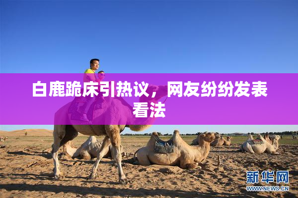 白鹿跪床引热议，网友纷纷发表看法