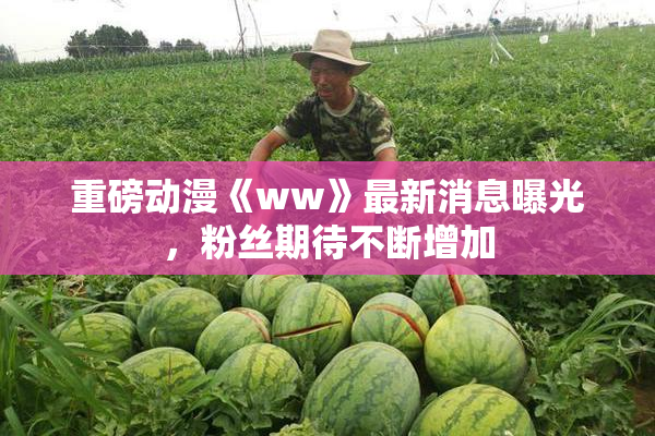 重磅动漫《ww》最新消息曝光，粉丝期待不断增加